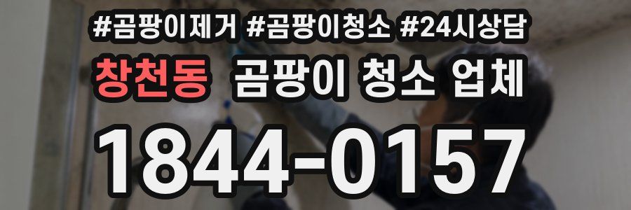 창천동 곰팡이 청소 업체