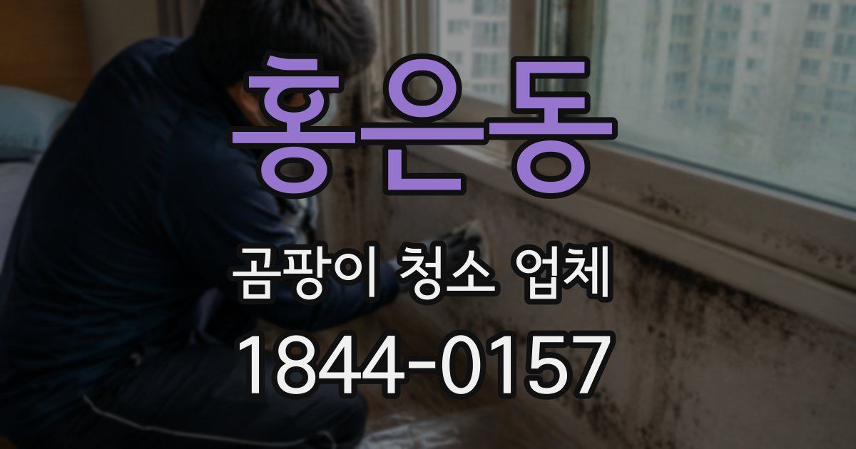 홍은동 곰팡이 청소 업체