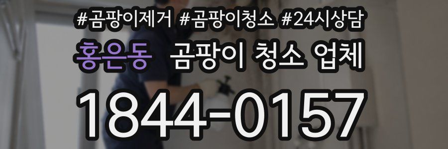 홍은동 곰팡이 청소 업체