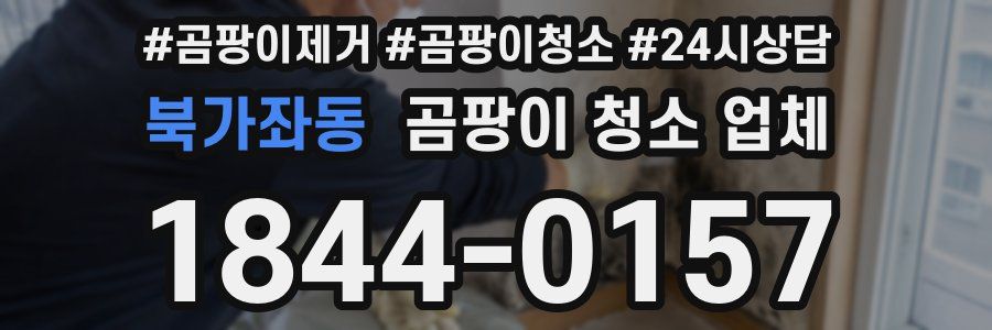북가좌동 곰팡이 청소 업체
