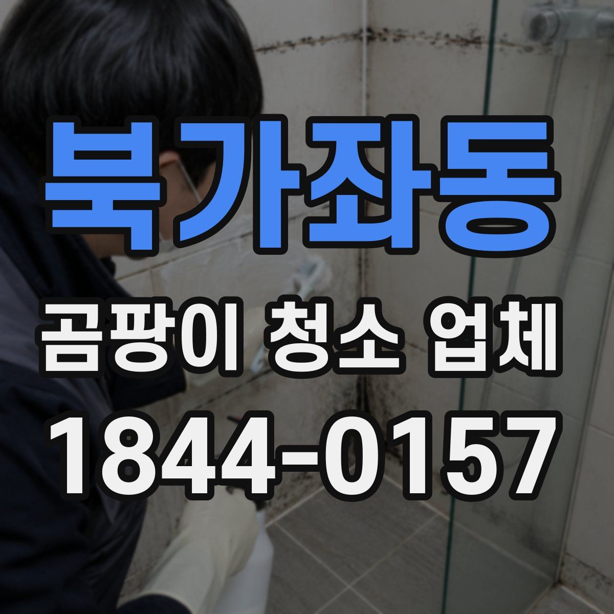 북가좌동 곰팡이 청소 업체