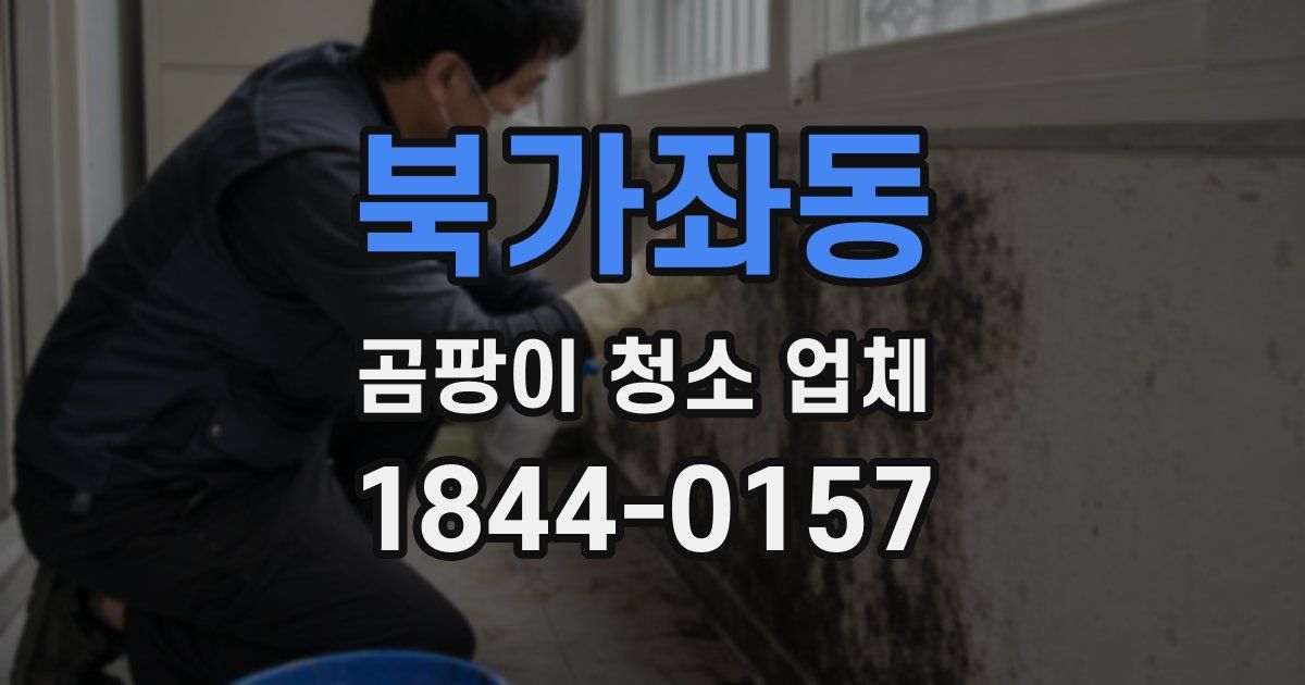 북가좌동 곰팡이 청소 업체