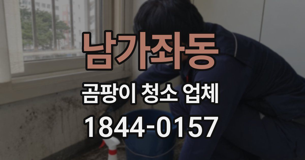남가좌동 곰팡이 청소 업체