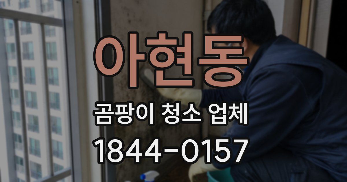 아현동 곰팡이 청소 업체