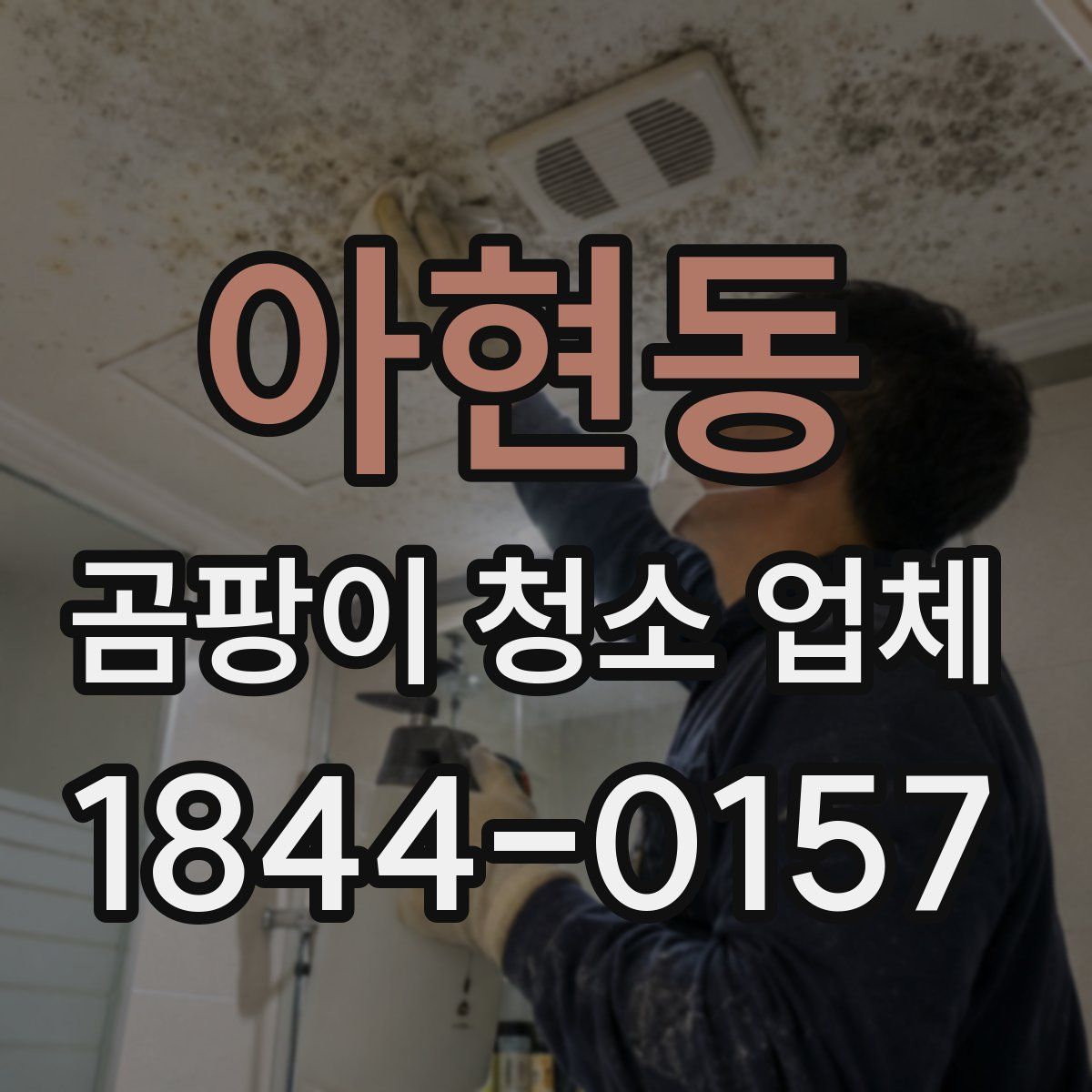아현동 곰팡이 청소 업체