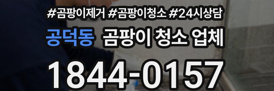 공덕동 곰팡이 청소 업체