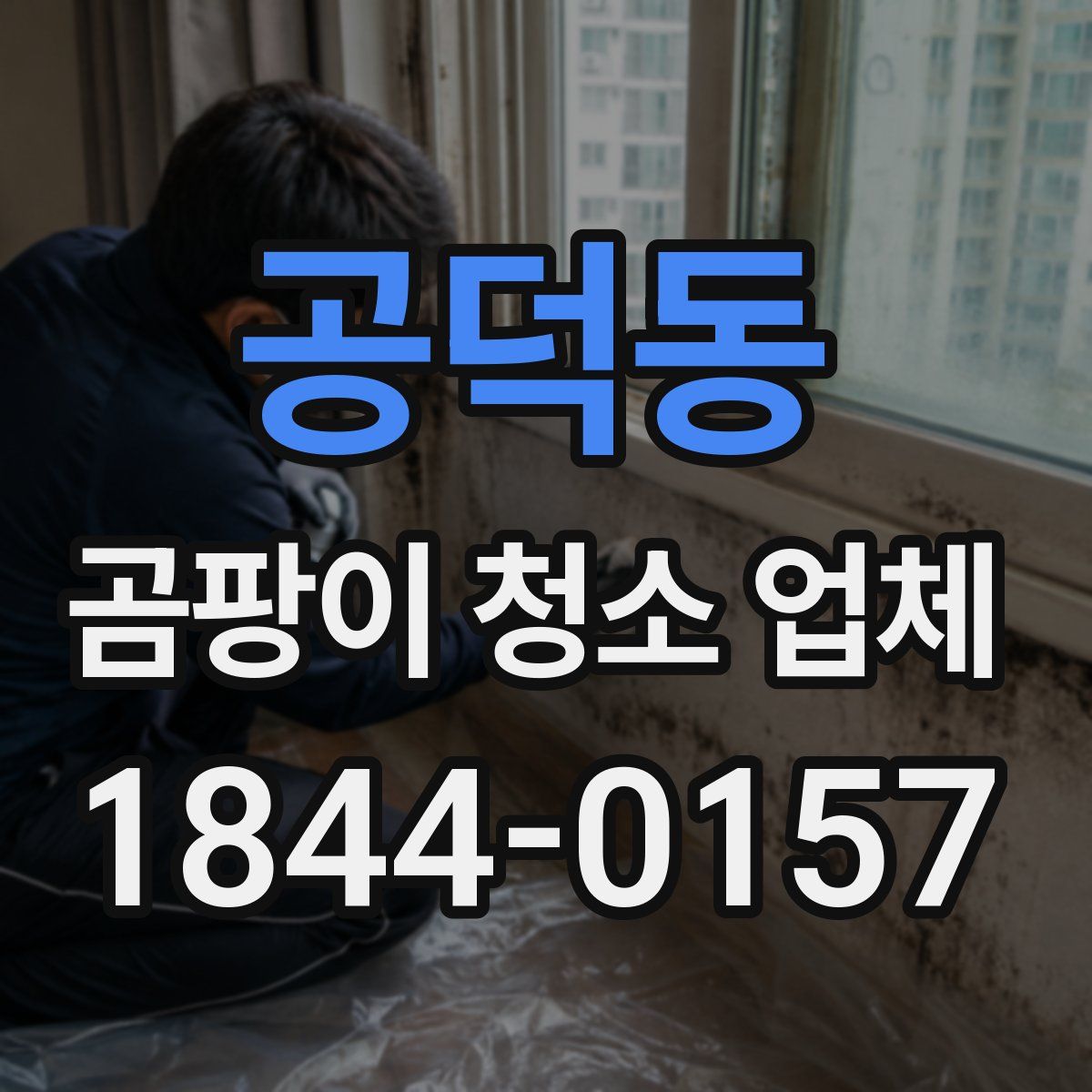 공덕동 곰팡이 청소 업체