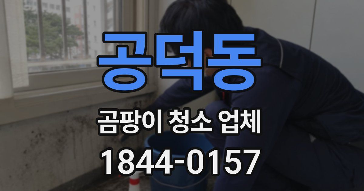공덕동 곰팡이 청소 업체