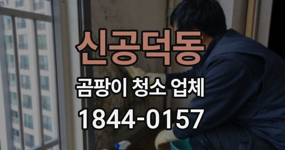 신공덕동 곰팡이 청소 업체