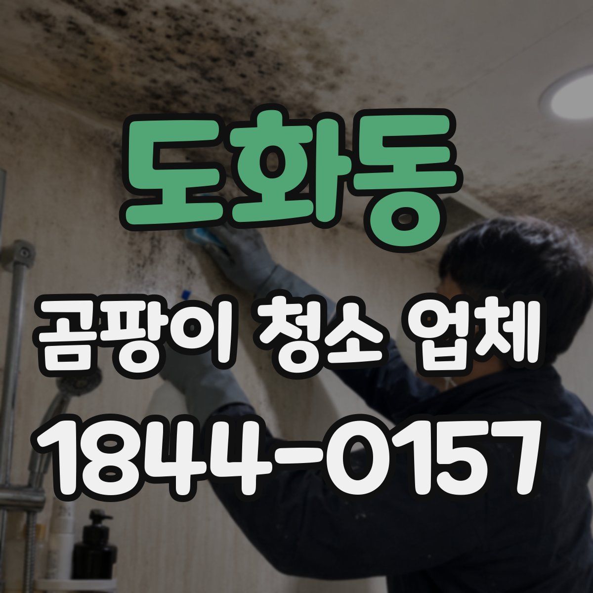 도화동 곰팡이 청소 업체