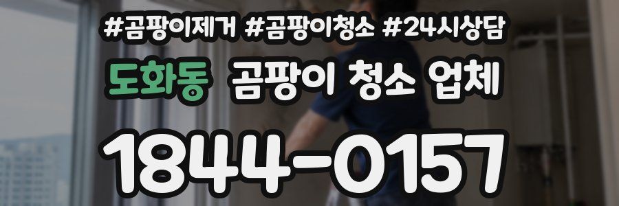 도화동 곰팡이 청소 업체