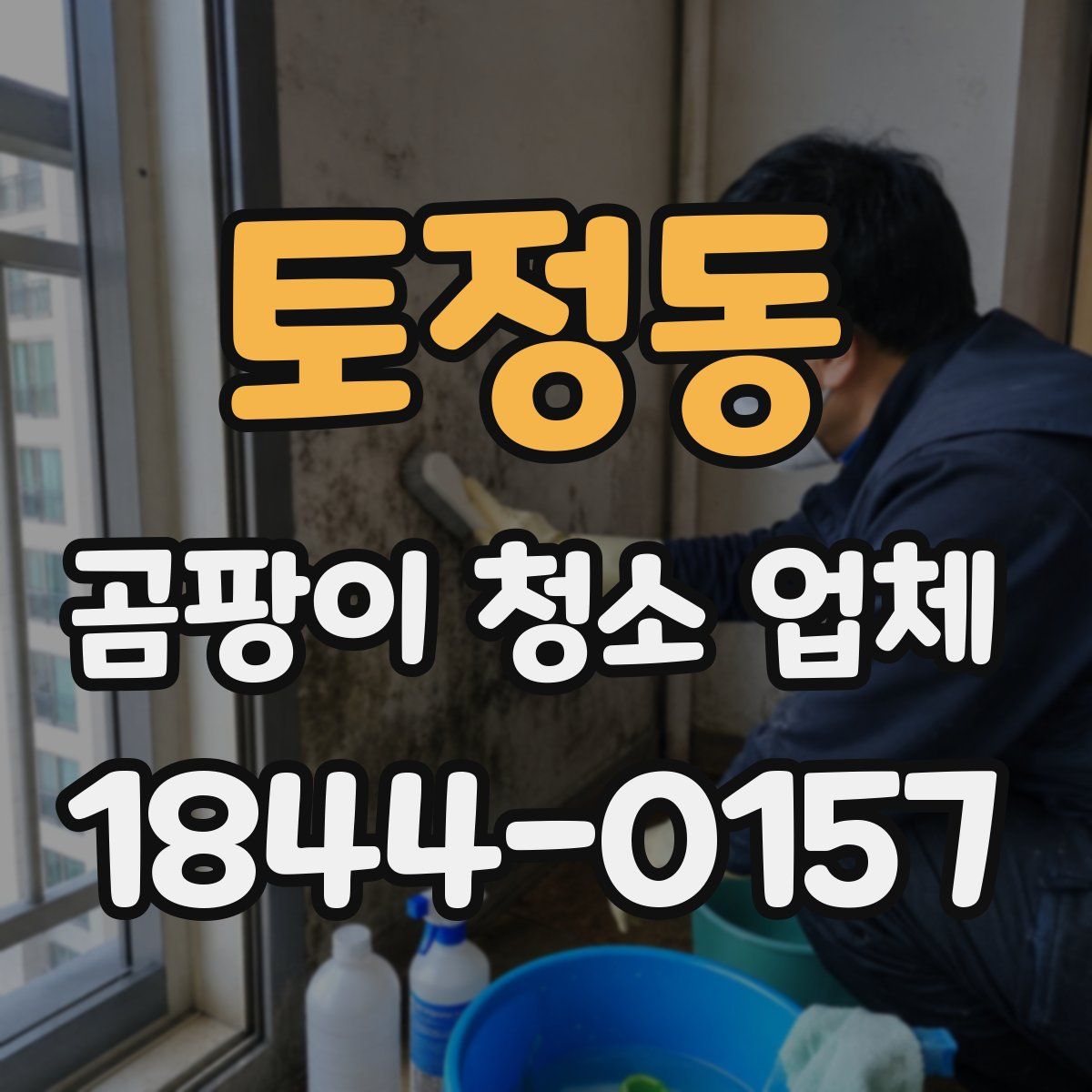 토정동 곰팡이 청소 업체