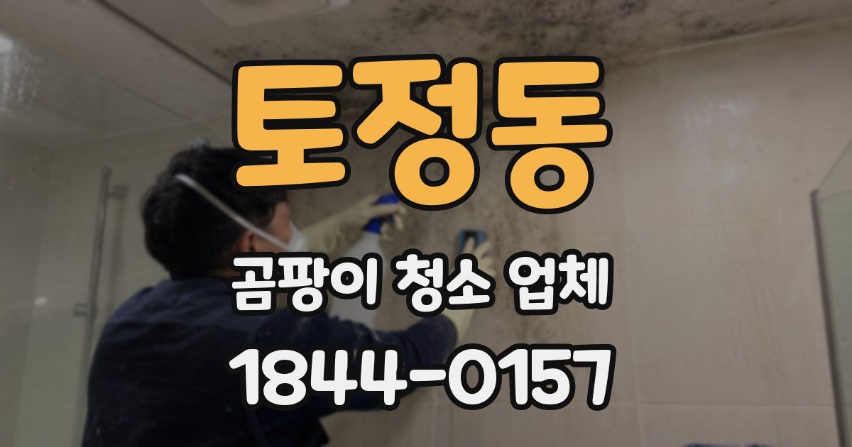 토정동 곰팡이 청소 업체