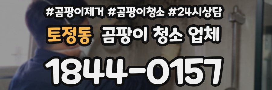 토정동 곰팡이 청소 업체