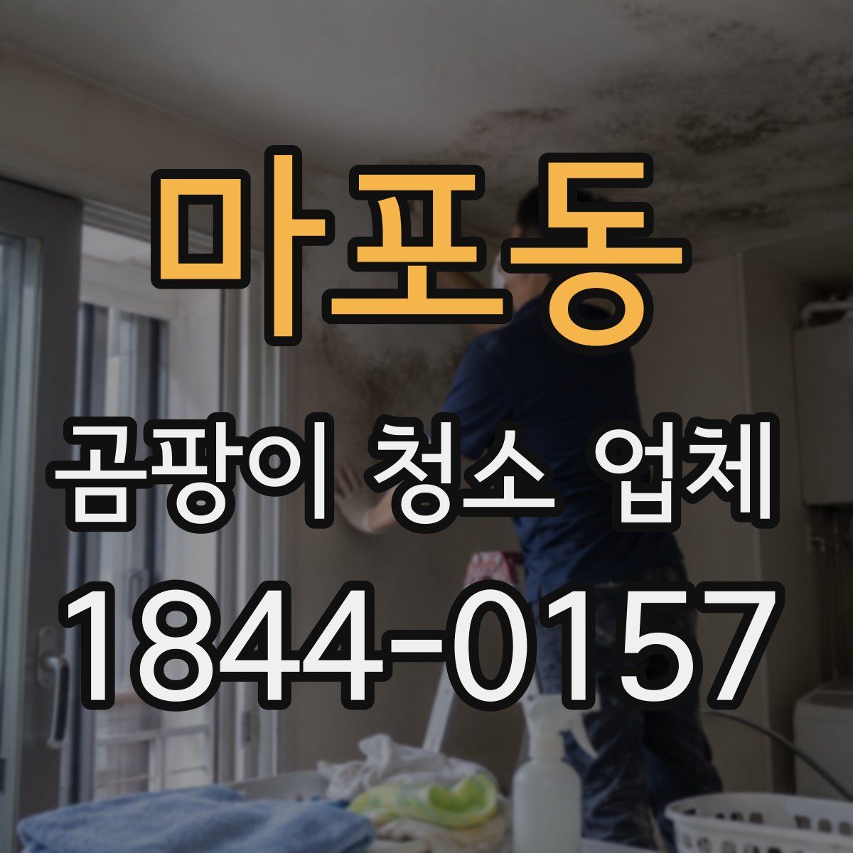 마포동 곰팡이 청소 업체