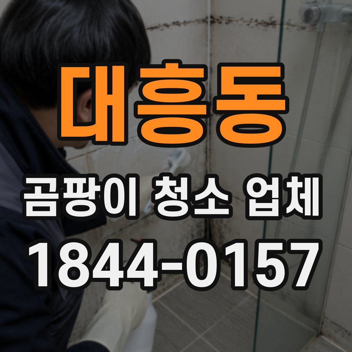 대흥동 곰팡이 청소 업체