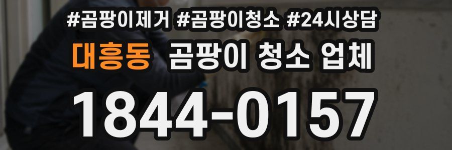 대흥동 곰팡이 청소 업체
