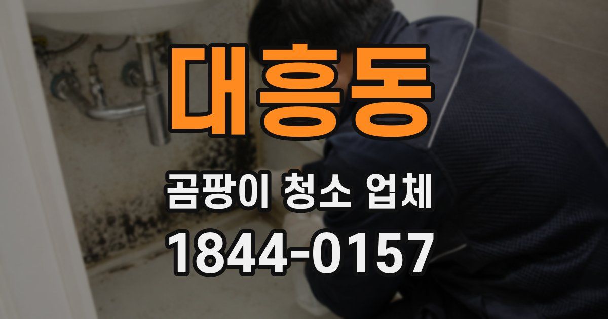 대흥동 곰팡이 청소 업체