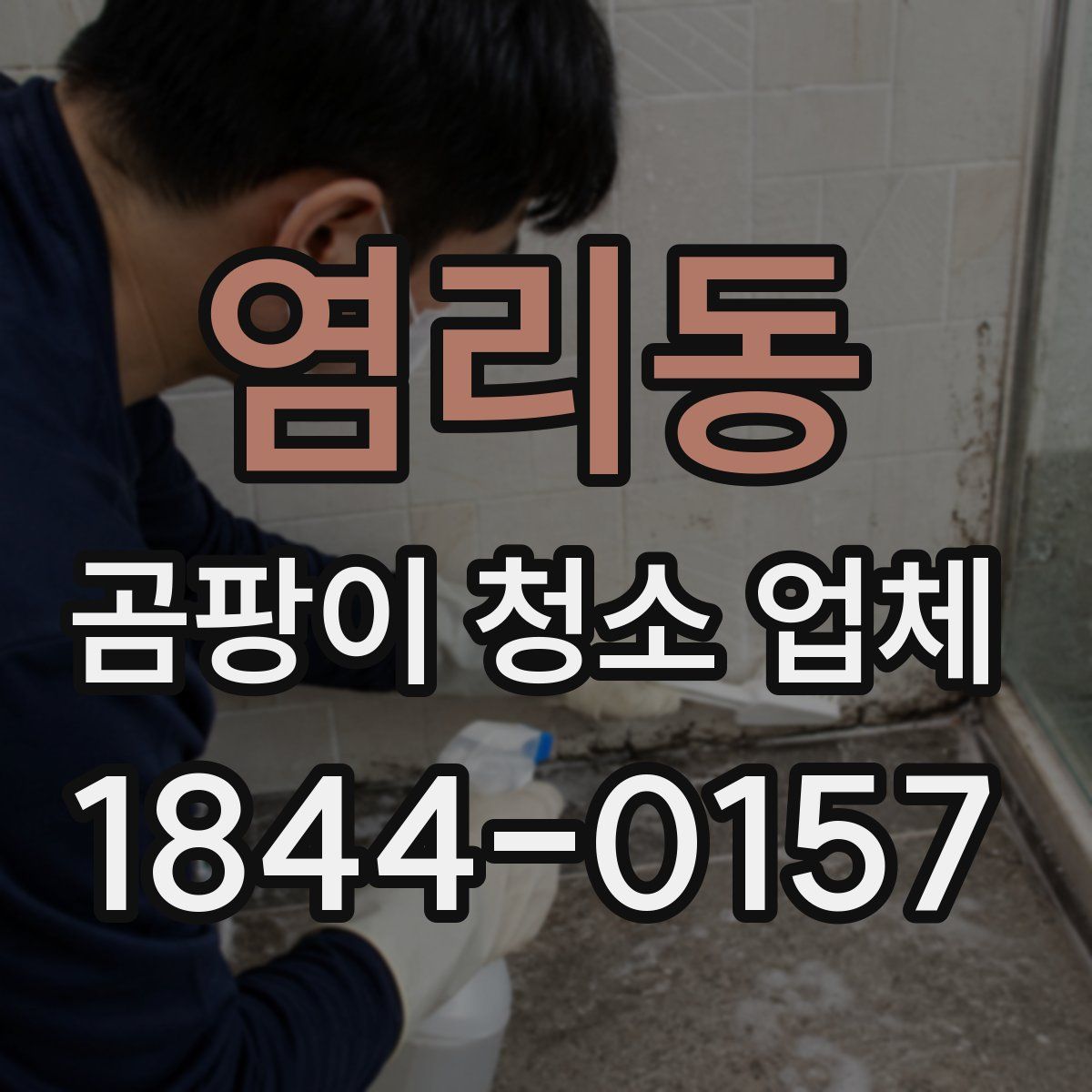 염리동 곰팡이 청소 업체