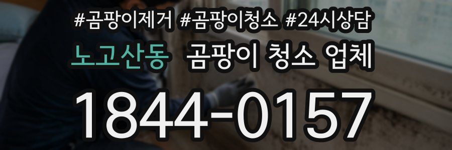 노고산동 곰팡이 청소 업체