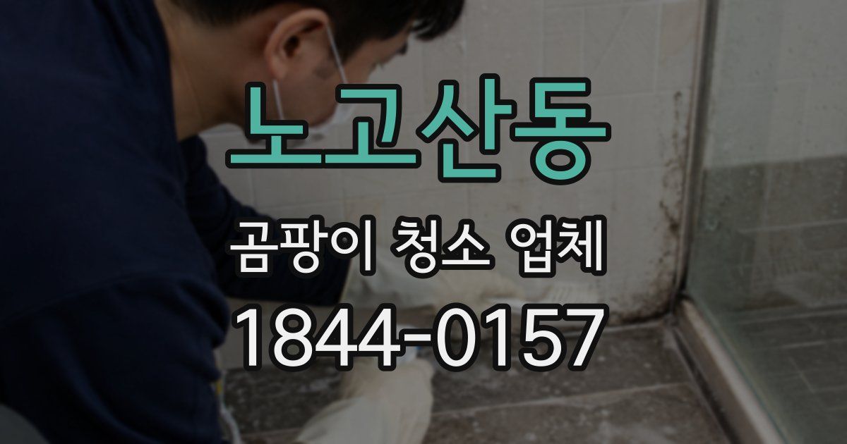 노고산동 곰팡이 청소 업체