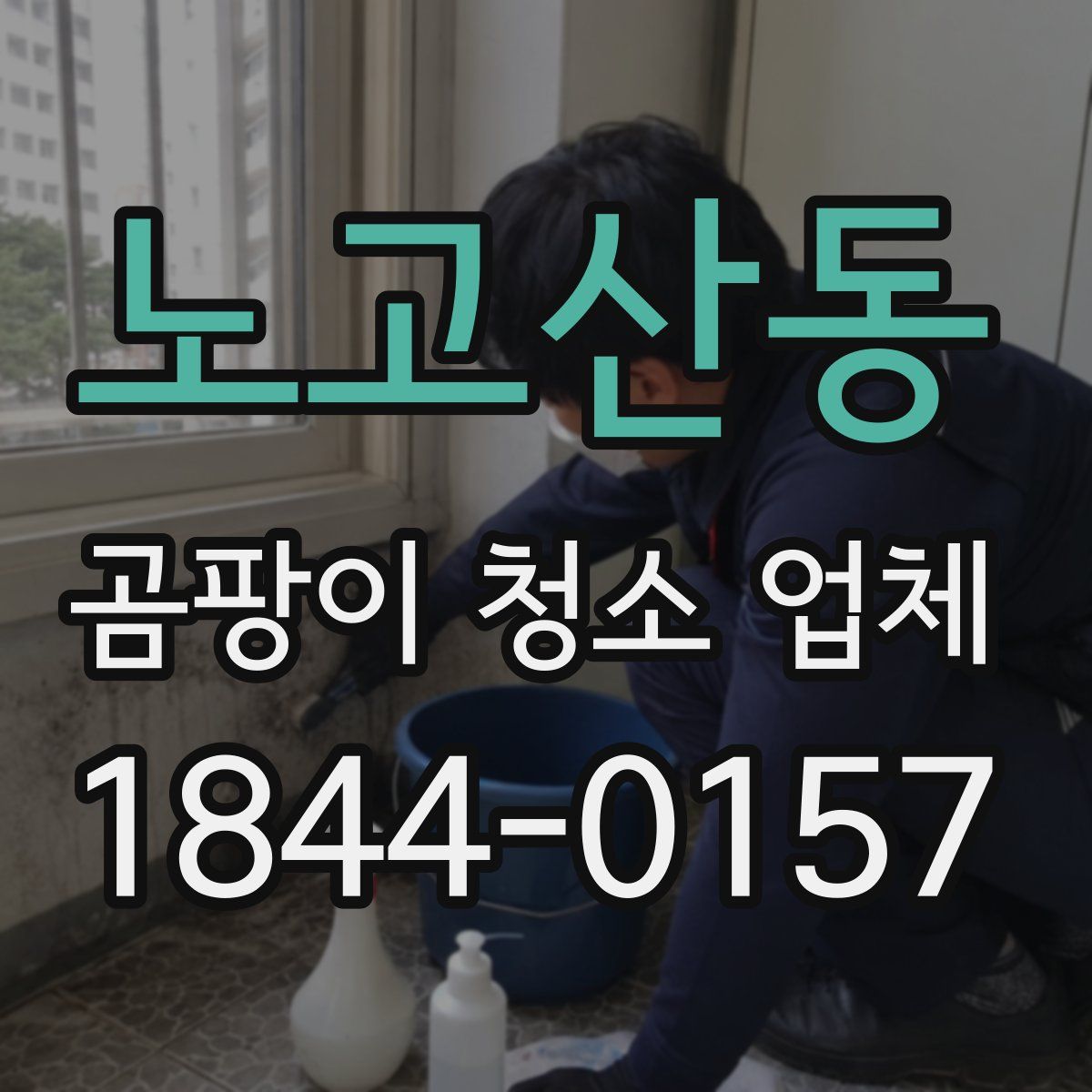 노고산동 곰팡이 청소 업체