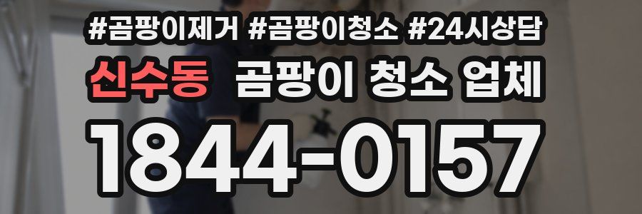 신수동 곰팡이 청소 업체