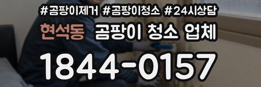 현석동 곰팡이 청소 업체