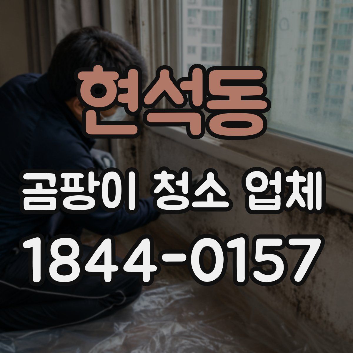 현석동 곰팡이 청소 업체
