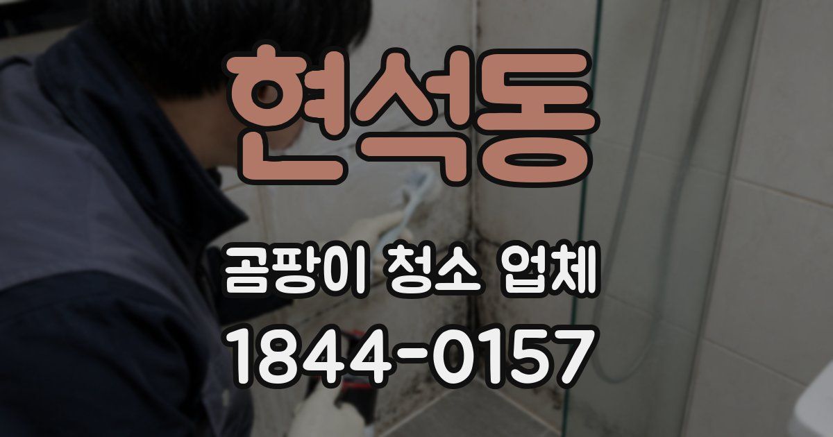 현석동 곰팡이 청소 업체