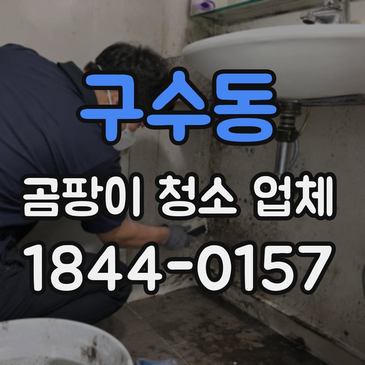 구수동 곰팡이 청소 업체