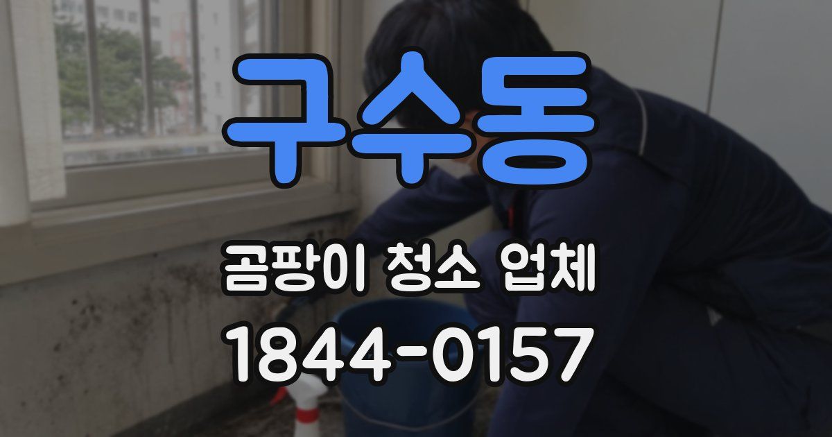 구수동 곰팡이 청소 업체