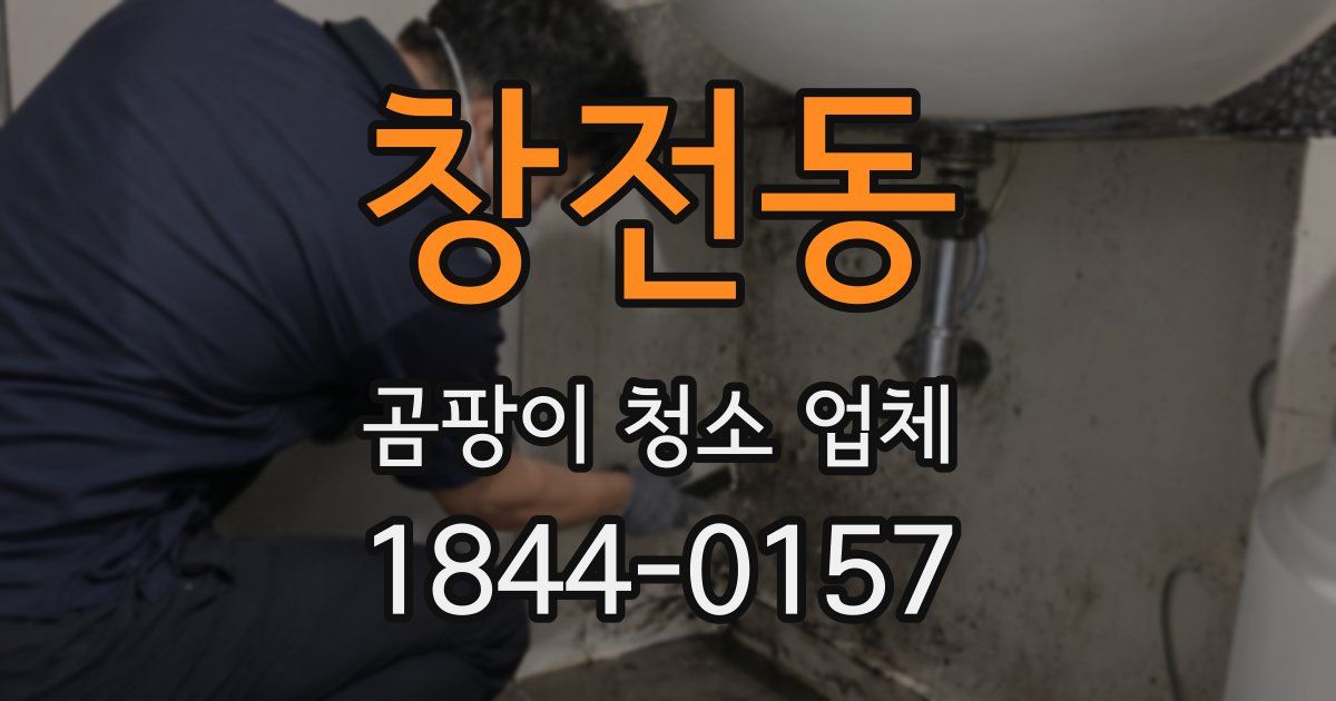 창전동 곰팡이 청소 업체