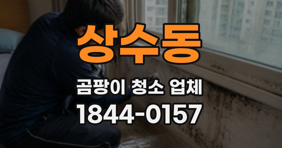 상수동 곰팡이 청소 업체