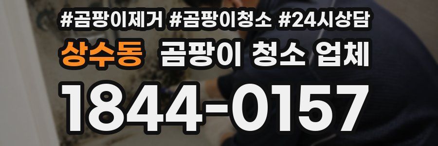 상수동 곰팡이 청소 업체