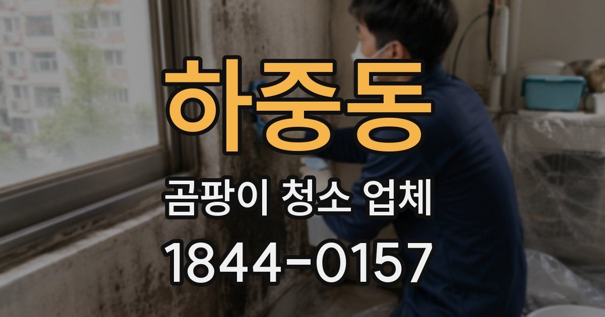하중동 곰팡이 청소 업체