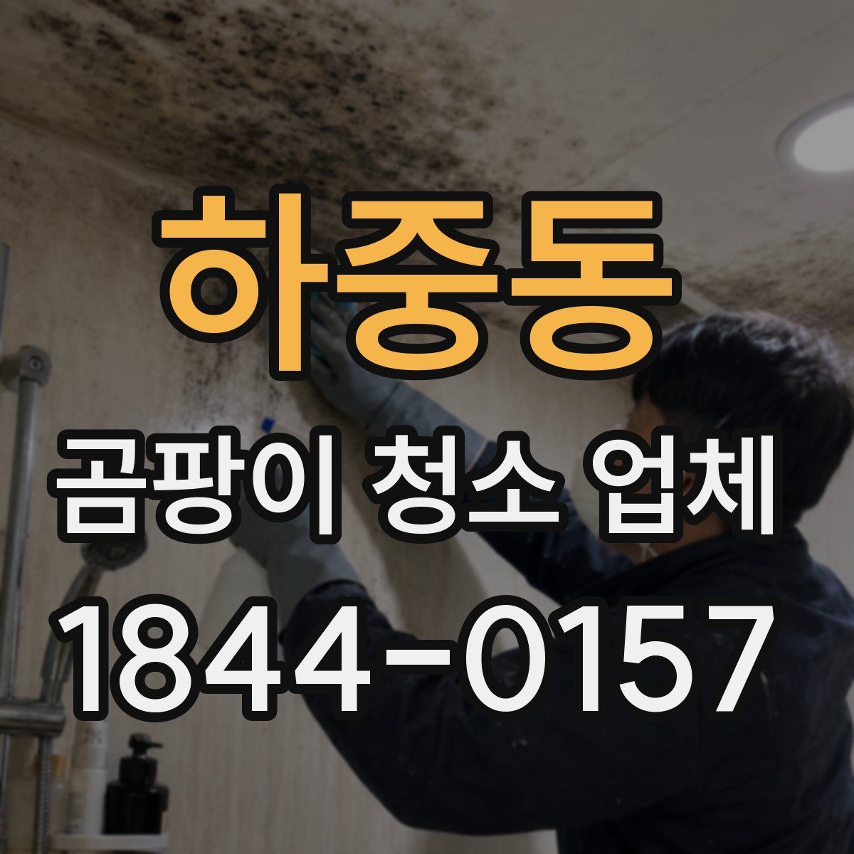 하중동 곰팡이 청소 업체