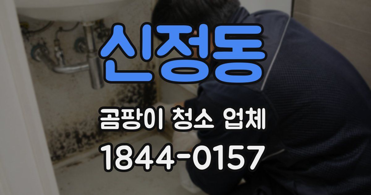 신정동 곰팡이 청소 업체