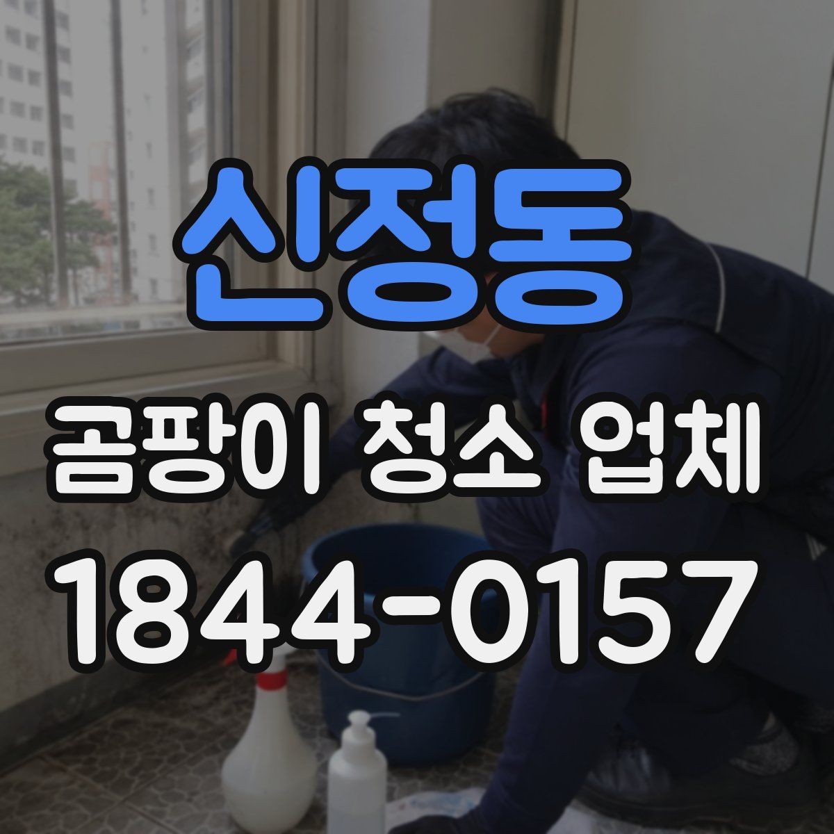 신정동 곰팡이 청소 업체