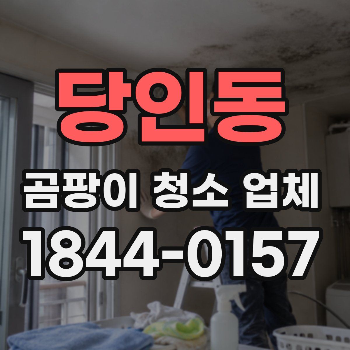 당인동 곰팡이 청소 업체