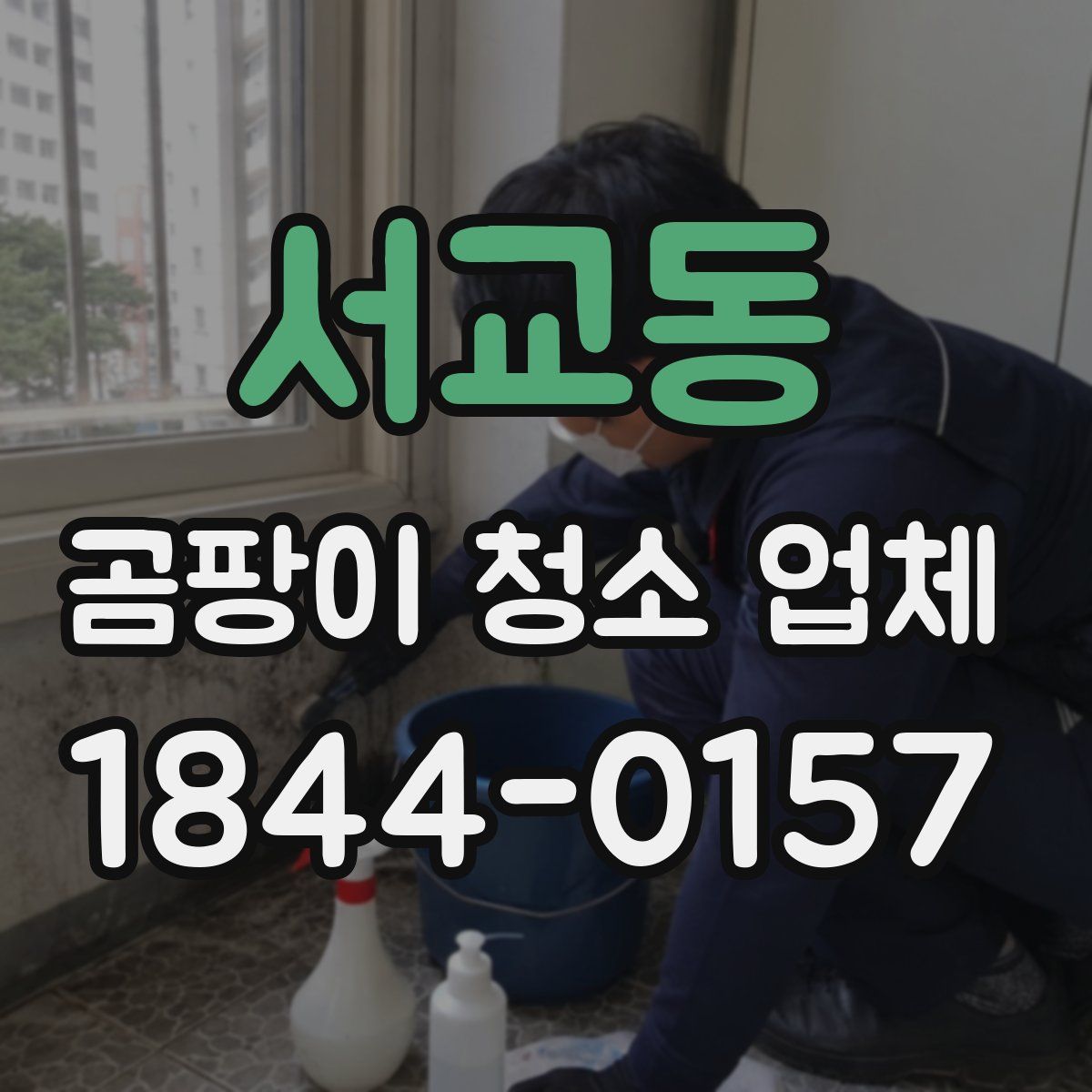 서교동 곰팡이 청소 업체