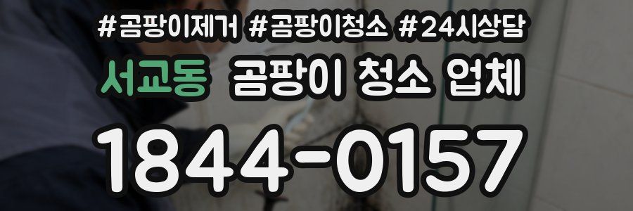 서교동 곰팡이 청소 업체