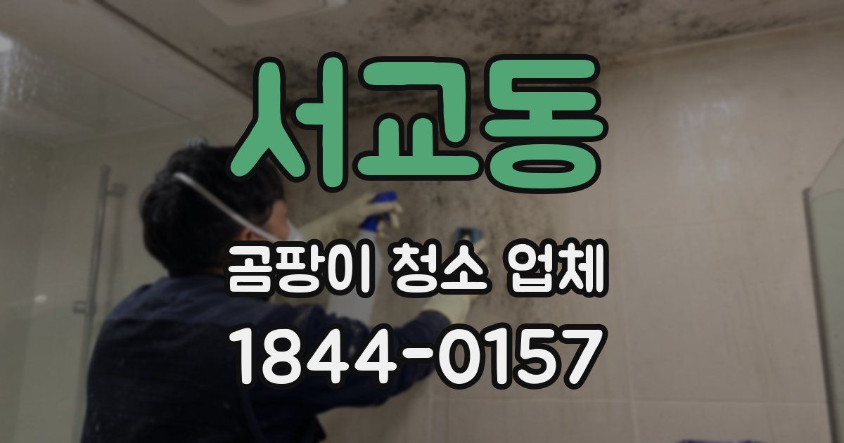 서교동 곰팡이 청소 업체