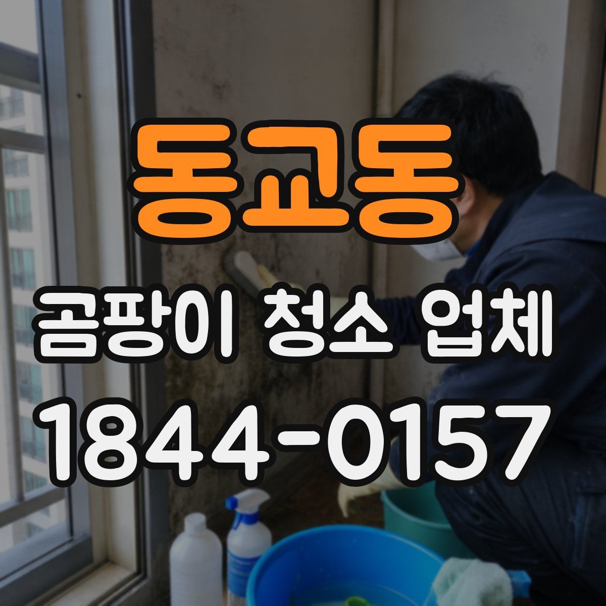 동교동 곰팡이 청소 업체
