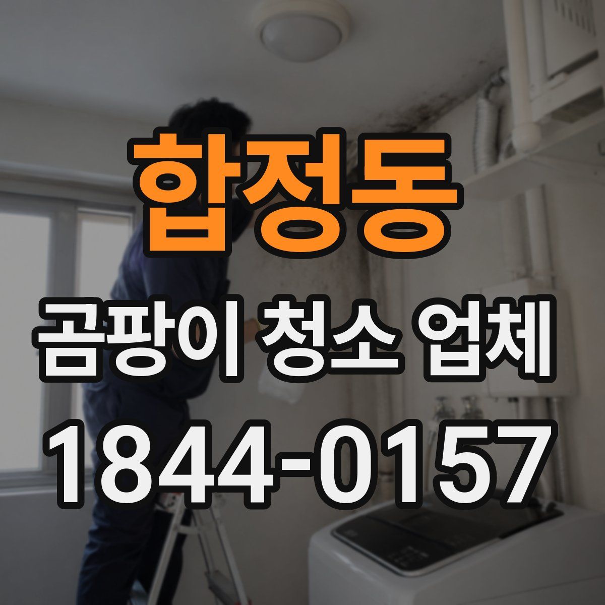 합정동 곰팡이 청소 업체