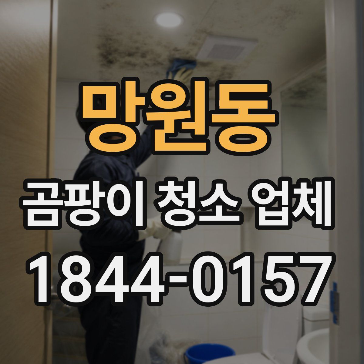 망원동 곰팡이 청소 업체