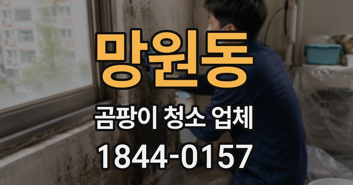 망원동 곰팡이 청소 업체