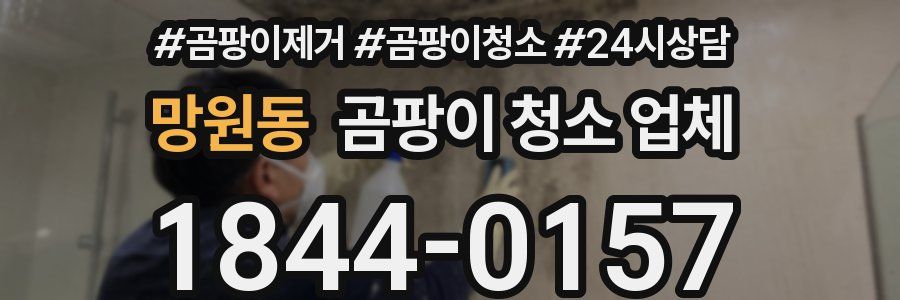망원동 곰팡이 청소 업체
