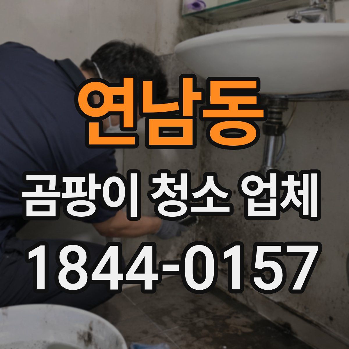 연남동 곰팡이 청소 업체
