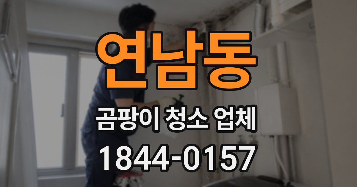 연남동 곰팡이 청소 업체